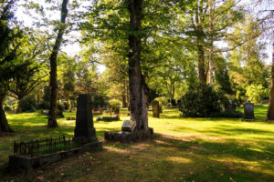 Family opts for green burial and plants a tree on gravesite