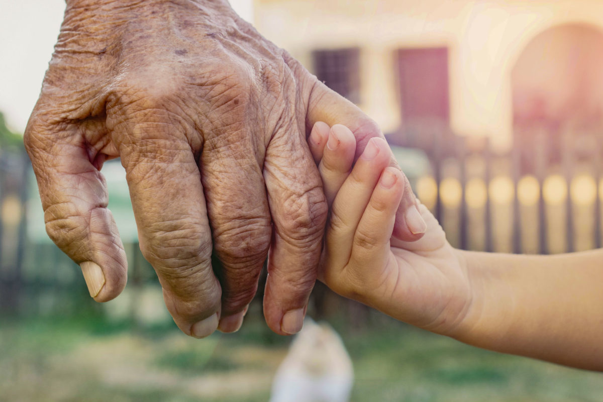 rights of guardianship of grandparents over grandchildren
