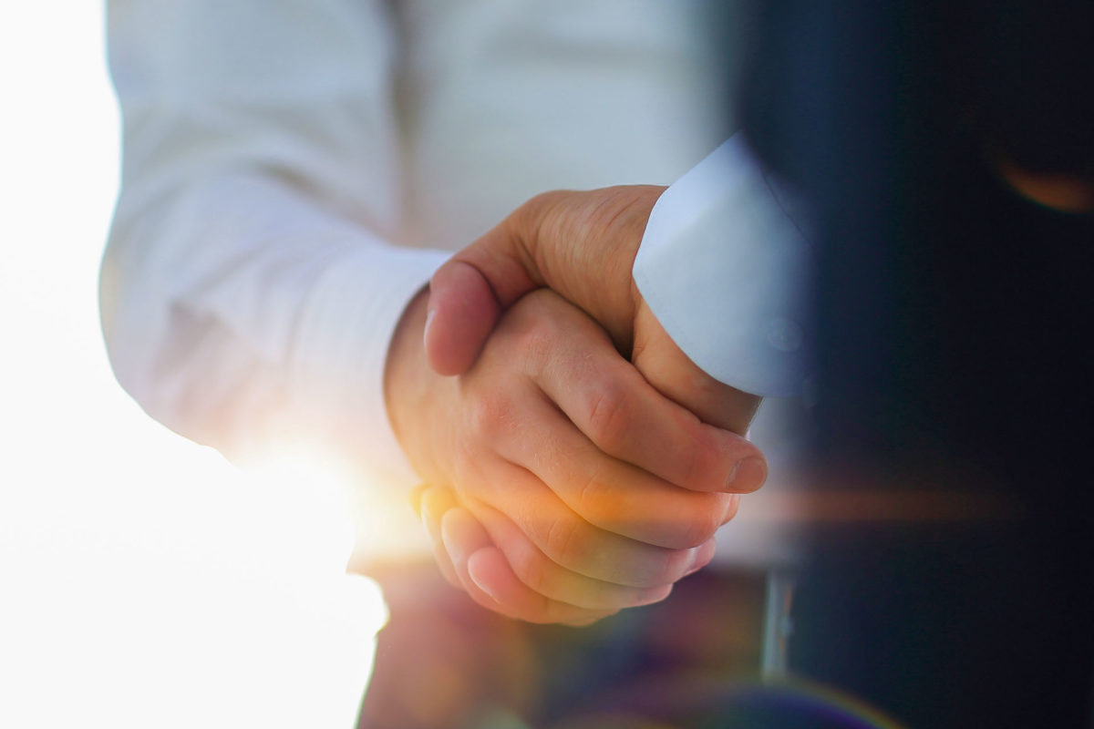 professional business partners shake hands