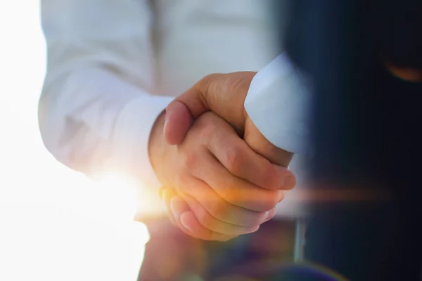 professional business partners shake hands